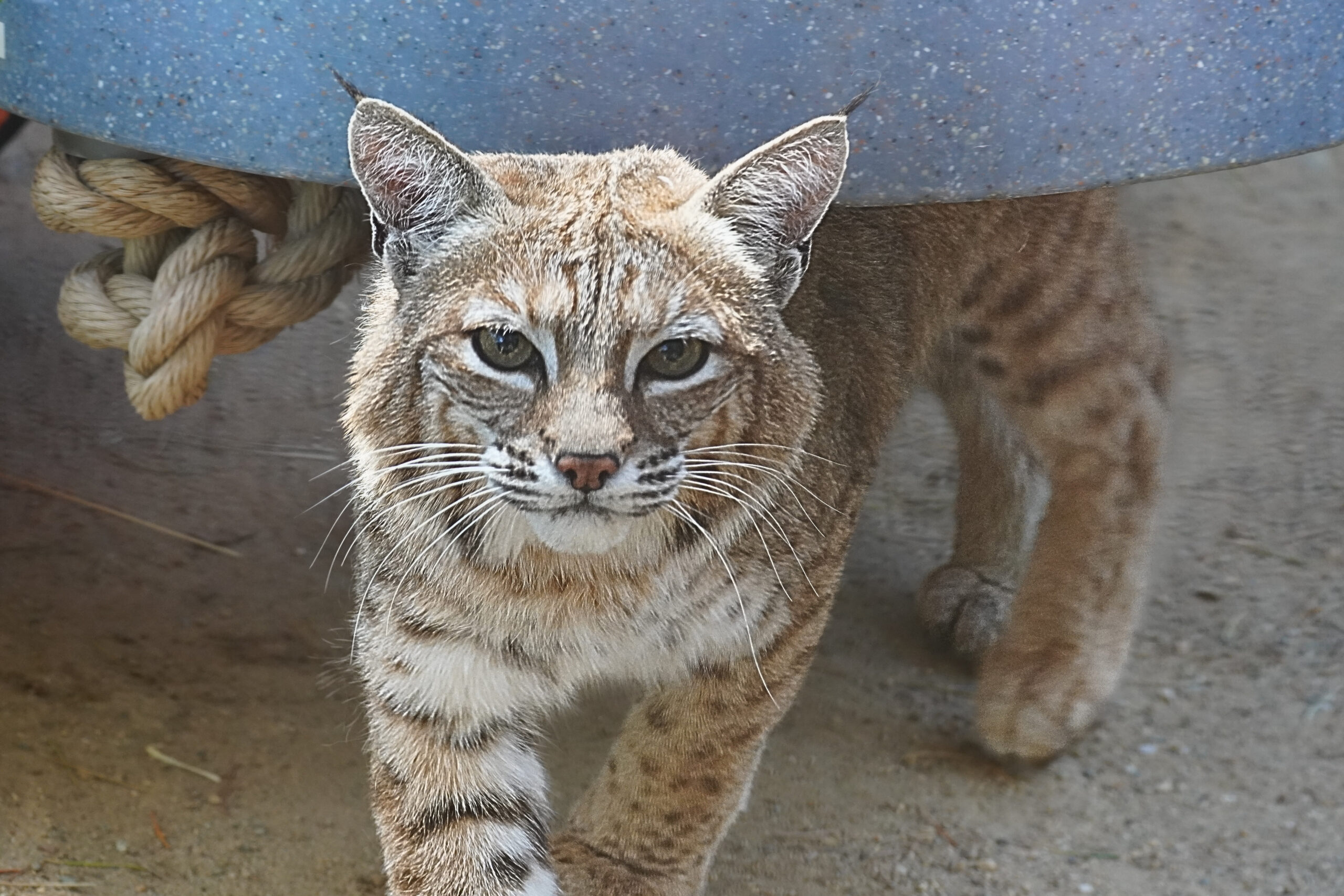 2fd3cfe0-9a32-4c1c-953f-cbbed46ef5cb