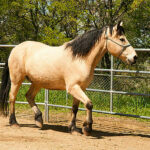 Gallery_8